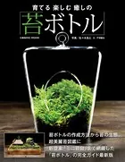 育てる楽しむ癒しの苔ボトル