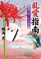 乱愛指南