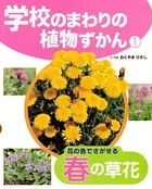 学校のまわりの植物ずかん