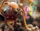 アリとくらすむし