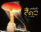 きのこ ふわり胞子の舞