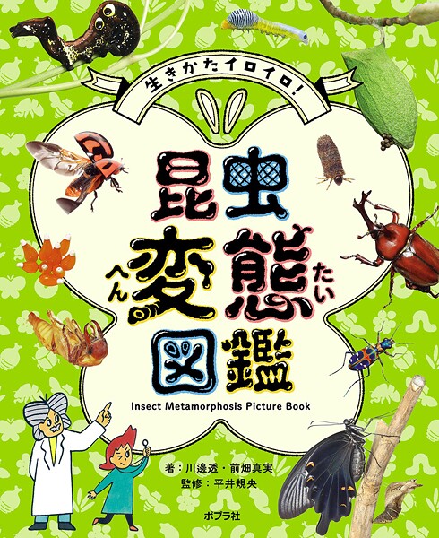 生きかたイロイロ！ 昆虫変態図鑑