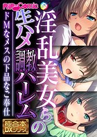 淫乱美女らの生ハメ●●ハーレム 〜ドMなメスの下品なご奉仕〜【極合本DXシリーズ】