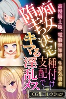 痴女堕ち決定！種付け支配でキマる淫乱メス 〜高慢騎士姫、電脳無知姫、生意気勇者〜【CG集コレクション】