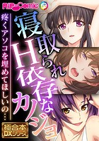 極合本DXシリーズ