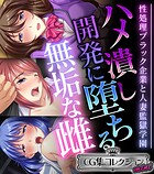 ハメ潰し開発に堕ちる無垢な雌 〜性処理ブラック企業と人妻監獄学園〜【CG集コレクション ミニ】