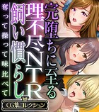 完堕ちに至る理不尽NTR飼い慣らし 〜奪って操って味比べて〜【CG集コレクション】