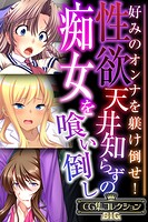 性欲天井知らずの痴女を喰い倒し 〜好みのオンナを躾け倒せ！〜【CG集コレクションBIG】