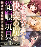 人生投げ売り！快楽の虜の従順玩具 〜躾けHを懇願する痴女たち〜【CG集コレクション】