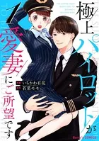 極上パイロットが愛妻にご所望です