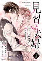 見習い夫婦〜エリート御曹司に娶られました〜