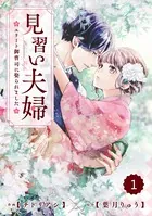 comic Berry’s 見習い夫婦〜エリート御曹司に娶られました〜（単話）