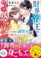 財界帝王は初恋妻を娶り愛でる〜怜悧な御曹司が極甘パパになりました〜