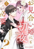 お見合い婚にも初夜は必要ですか？