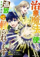 治癒魔法は使えないと追放されたのに、なぜか頼られてます〜俺だけ使える治癒魔法で、聖獣と共に気づけば世界最強になっていた〜【DMMブックス限定特典付き】1巻