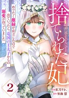 Berry’s Fantasy 捨てられた妃 めでたく離縁が成立したので出ていったら、竜国の王太子からの溺愛が待っていました（分冊版）2話