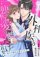 偽りの婚約は蜜よりも甘く〜エリート外科医の独占愛からは逃げられない〜