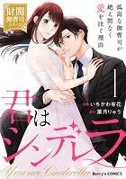 君はシンデレラ〜孤高な御曹司が絶え間なく愛を注ぐ理由〜【財閥御曹司シリーズ】