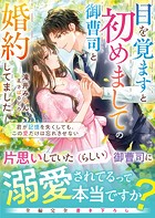目を覚ますと初めましての御曹司と婚約してました〜君が記憶を失くしても、この愛だけは忘れさせない〜【電子限定SS付き】