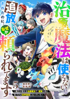 治癒魔法は使えないと追放されたのに、なぜか頼られてます〜俺だけ使える治癒魔法で、聖獣と共に気づけば世界最強になっていた〜