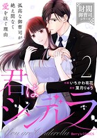 君はシンデレラ〜孤高な御曹司が絶え間なく愛を注ぐ理由〜【財閥御曹司シリーズ】 2