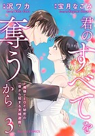 君のすべてを奪うから〜俺様CEOと秘密の一夜から始まる夫婦遊戯〜 3