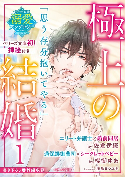ベリーズ文庫溺愛アンソロジー【期間限定 無料お試し版 閲覧期限2025年8月24日】