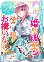 お前呼ばわりで婚約破棄？隣国で自由を謳歌するのでどうぞお構いなく！〜追放令嬢、実は最強精霊師でした〜 1