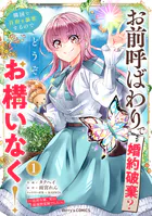 お前呼ばわりで婚約破棄？隣国で自由を謳歌するのでどうぞお構いなく！〜追放令嬢、実は最強精霊師でした〜
