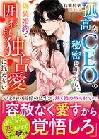 孤高なCEOの秘密を知ったら、偽装婚約で囲われ独占愛に抗えない【SS付き】 1