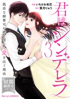 君はシンデレラ〜孤高な御曹司が絶え間なく愛を注ぐ理由〜【財閥御曹司シリーズ】 3