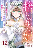 Berry’sFantasy捨てられた妃 めでたく離縁が成立したので出ていったら、竜国の王太子からの溺愛が待っていました12巻