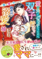 愛を失ったバツイチだったのに、双子を授かって御曹司の溺愛に捕まりました〜俺に愛し守らせろ〜【SS付き】 1