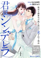 君はシンデレラ〜孤高な御曹司が絶え間なく愛を注ぐ理由〜【財閥御曹司シリーズ】 4