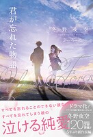 君が忘れた物語 1