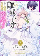 離縁予定の捨てられ令嬢ですが、なぜか次期公爵様の溺愛が始まりました 3