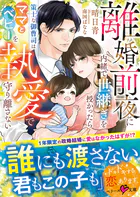 離婚前夜に内緒で世継ぎを授かったら〜策士な御曹司はママとベビーを執愛で守り離さない〜【SS付き】