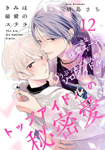 きみは最愛のステラ（12）