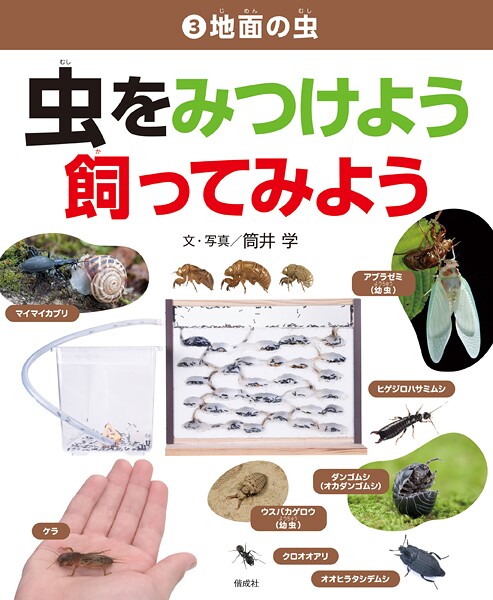 地面の虫