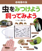 地面の虫
