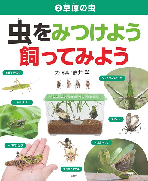 草原の虫