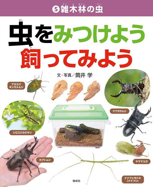 雑木林の虫