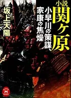 小説 関ヶ原