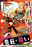 戦国×兄弟 豊臣兄弟--炎の絆