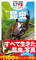 昆虫 新版