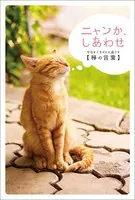 ニャンか、しあわせ ―今日をごきげんに過ごす〈禅の言葉〉