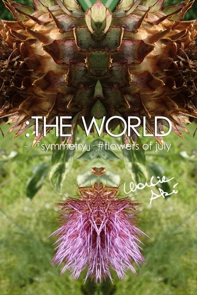 :THE WORLD - 「symmetry」＃flowers of july