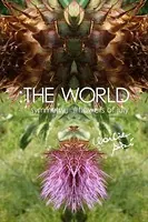 :THE WORLD - 「symmetry」＃flowers of july
