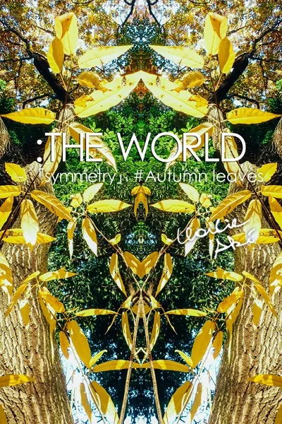 :THE WORLD - 「symmetry」＃Autumn leaves