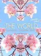 :THE WORLD - 「symmetry」＃SAKURA 2018